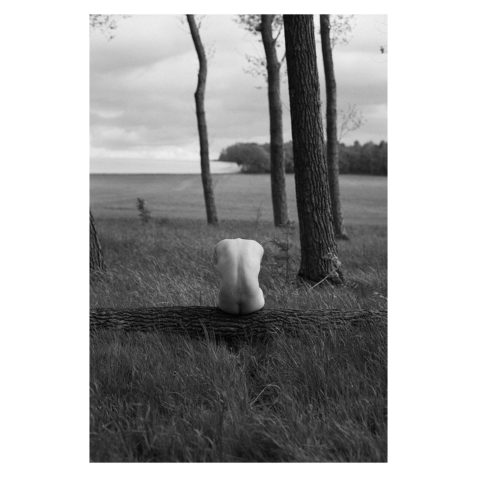 SWAN-Art---Anna-Försterling---Sculpture